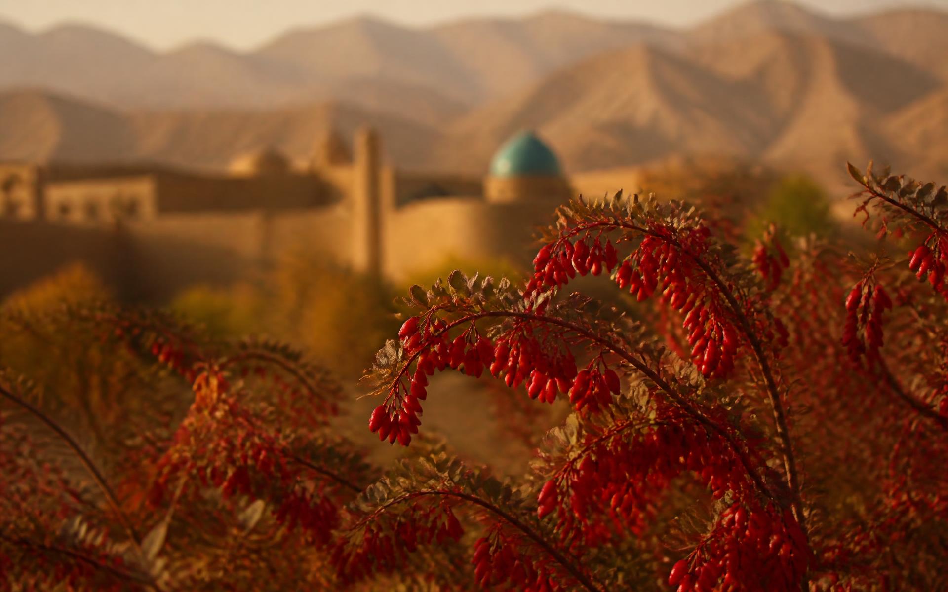 چشمانداز خراسان جنوبی و خاستگاه محصولات خاویرا